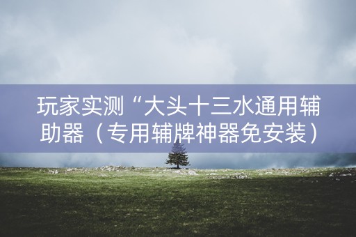 玩家实测“大头十三水通用辅助器（专用辅牌神器免安装）