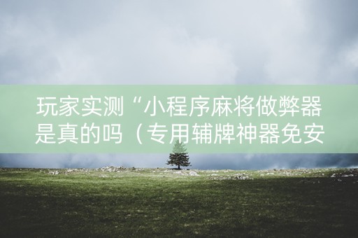 玩家实测“小程序麻将做弊器是真的吗（专用辅牌神器免安装）