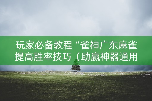 玩家必备教程“雀神广东麻雀提高胜率技巧（助赢神器通用版）
