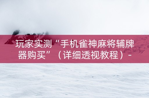 玩家实测“手机雀神麻将辅牌器购买”（详细透视教程）-哔哩哔哩