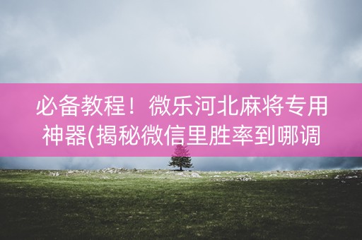 必备教程！微乐河北麻将专用神器(揭秘微信里胜率到哪调)