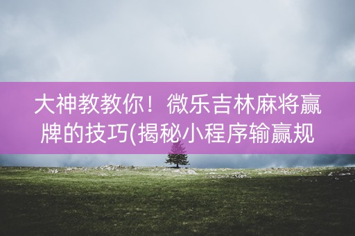 大神教教你！微乐吉林麻将赢牌的技巧(揭秘小程序输赢规律)