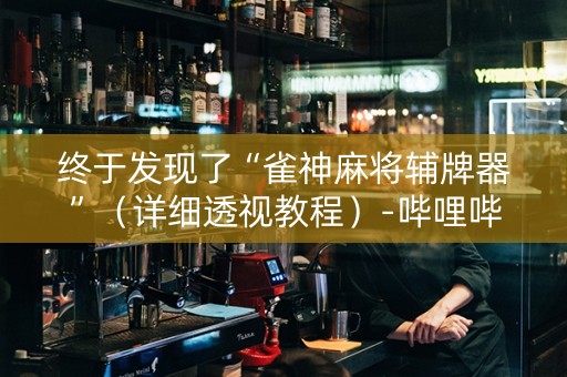 终于发现了“雀神麻将辅牌器”（详细透视教程）-哔哩哔哩