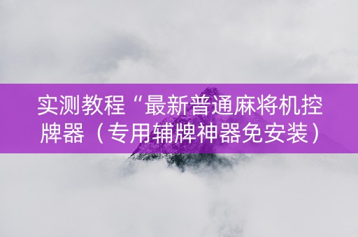 实测教程“最新普通麻将机控牌器（专用辅牌神器免安装）