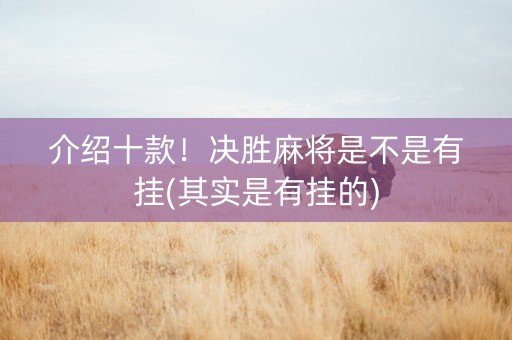 介绍十款！决胜麻将是不是有挂(其实是有挂的)