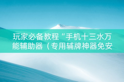玩家必备教程“手机十三水万能辅助器（专用辅牌神器免安装）