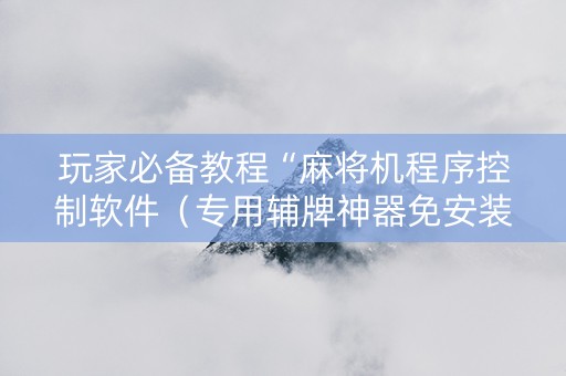 玩家必备教程“麻将机程序控制软件（专用辅牌神器免安装）