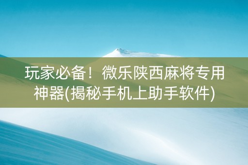 玩家必备！微乐陕西麻将专用神器(揭秘手机上助手软件)
