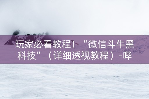 玩家必看教程！“微信斗牛黑科技”（详细透视教程）-哔哩哔哩