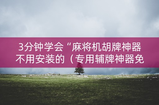 3分钟学会“麻将机胡牌神器不用安装的（专用辅牌神器免安装）