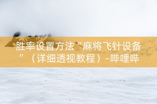 胜率设置方法“麻将飞针设备”（详细透视教程）-哔哩哔哩