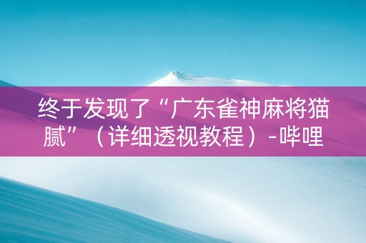 终于发现了“广东雀神麻将猫腻”（详细透视教程）-哔哩哔哩