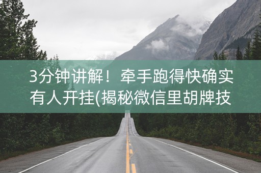 3分钟讲解！牵手跑得快确实有人开挂(揭秘微信里胡牌技巧)
