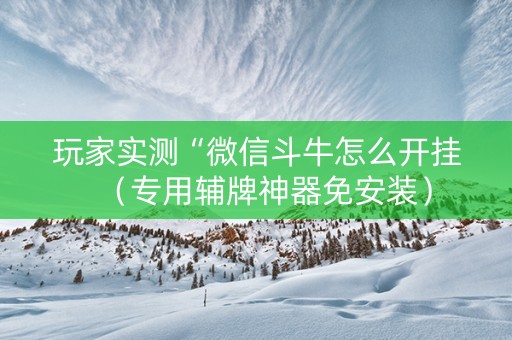 玩家实测“微信斗牛怎么开挂（专用辅牌神器免安装）