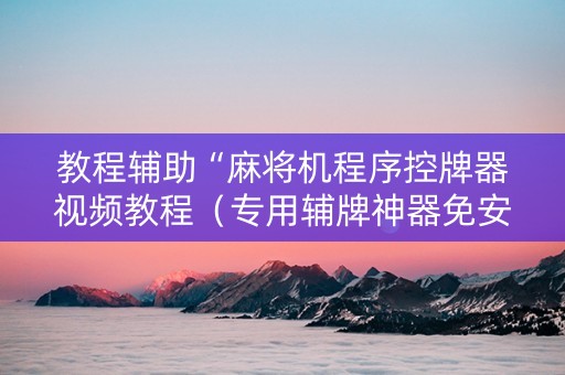 教程辅助“麻将机程序控牌器视频教程（专用辅牌神器免安装）