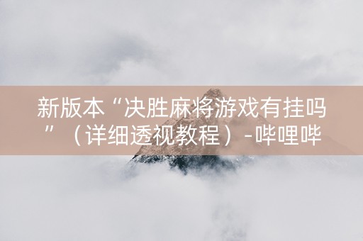 新版本“决胜麻将游戏有挂吗”（详细透视教程）-哔哩哔哩