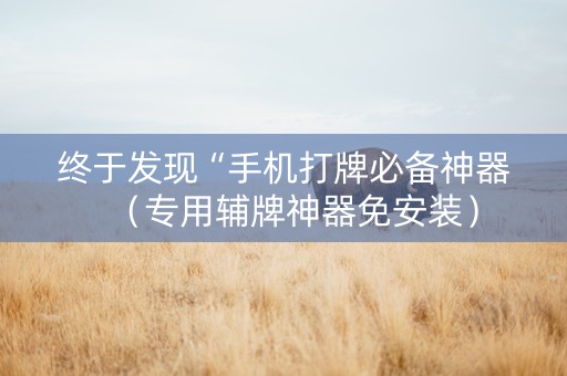 终于发现“手机打牌必备神器（专用辅牌神器免安装）