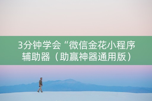 3分钟学会“微信金花小程序辅助器（助赢神器通用版）