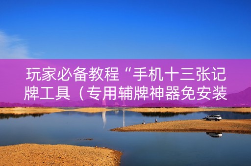 玩家必备教程“手机十三张记牌工具（专用辅牌神器免安装）