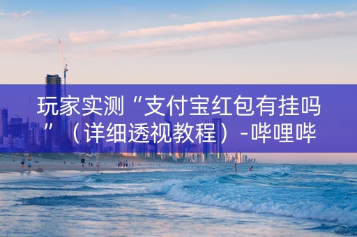 玩家实测“支付宝红包有挂吗”（详细透视教程）-哔哩哔哩