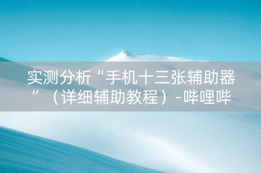 实测分析“手机十三张辅助器”（详细辅助教程）-哔哩哔哩