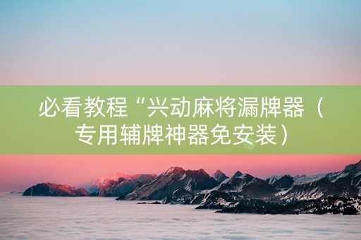 必看教程“兴动麻将漏牌器（专用辅牌神器免安装）