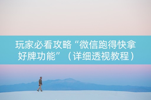 玩家必看攻略“微信跑得快拿好牌功能”（详细透视教程）-哔哩哔哩