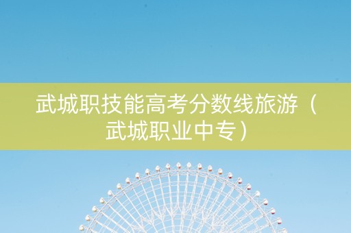 武城职技能高考分数线旅游（武城职业中专）