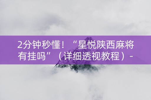 2分钟秒懂！“星悦陕西麻将有挂吗”（详细透视教程）-哔哩哔哩