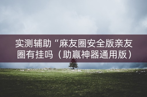 实测辅助“麻友圈安全版亲友圈有挂吗（助赢神器通用版）