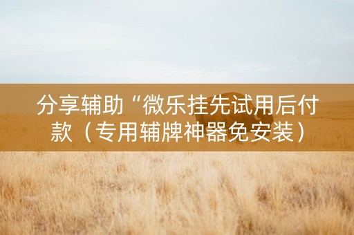 分享辅助“微乐挂先试用后付款（专用辅牌神器免安装）