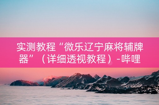 实测教程“微乐辽宁麻将辅牌器”（详细透视教程）-哔哩哔哩
