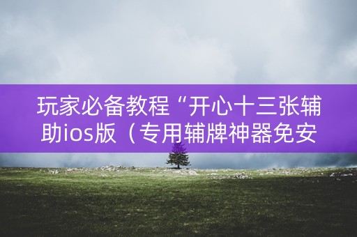玩家必备教程“开心十三张辅助ios版（专用辅牌神器免安装）