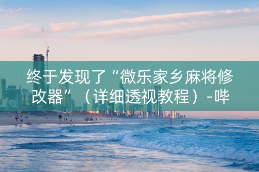 终于发现了“微乐家乡麻将修改器”（详细透视教程）-哔哩哔哩