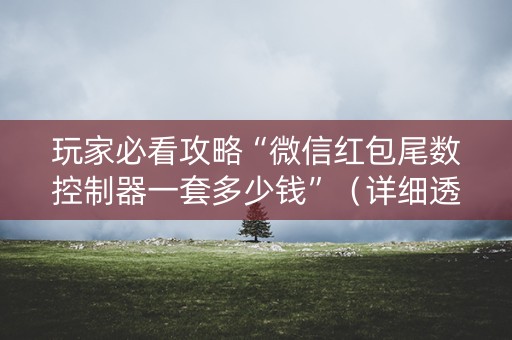 玩家必看攻略“微信红包尾数控制器一套多少钱”（详细透视教程）-哔哩哔哩
