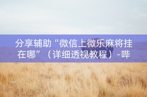 分享辅助“微信上微乐麻将挂在哪”（详细透视教程）-哔哩哔哩