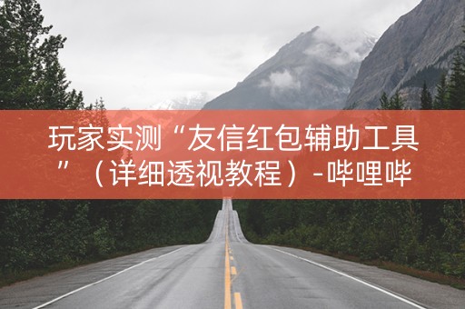 玩家实测“友信红包辅助工具”（详细透视教程）-哔哩哔哩