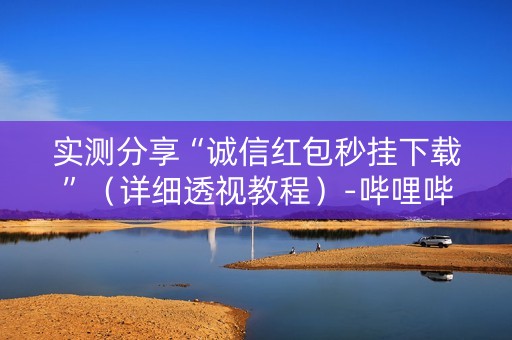 实测分享“诚信红包秒挂下载”（详细透视教程）-哔哩哔哩