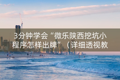 3分钟学会“微乐陕西挖坑小程序怎样出牌”（详细透视教程）-哔哩哔哩