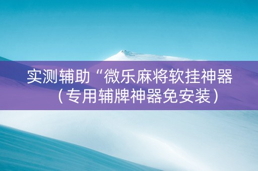 实测辅助“微乐麻将软挂神器（专用辅牌神器免安装）