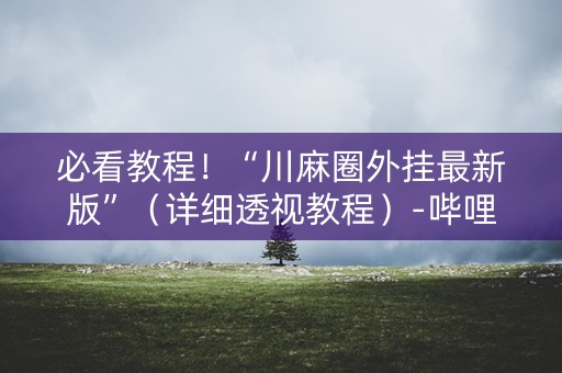 必看教程！“川麻圈外挂最新版”（详细透视教程）-哔哩哔哩
