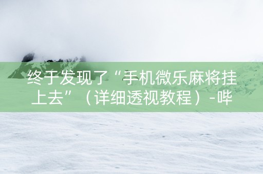 终于发现了“手机微乐麻将挂上去”（详细透视教程）-哔哩哔哩
