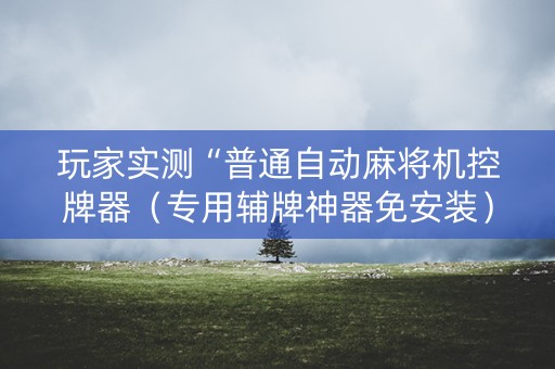 玩家实测“普通自动麻将机控牌器（专用辅牌神器免安装）