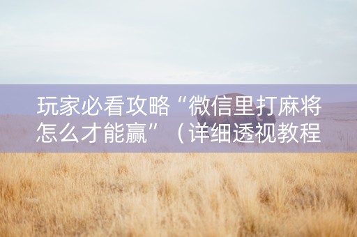 玩家必看攻略“微信里打麻将怎么才能赢”（详细透视教程）-哔哩哔哩