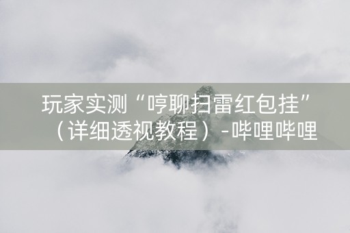 玩家实测“哼聊扫雷红包挂”（详细透视教程）-哔哩哔哩