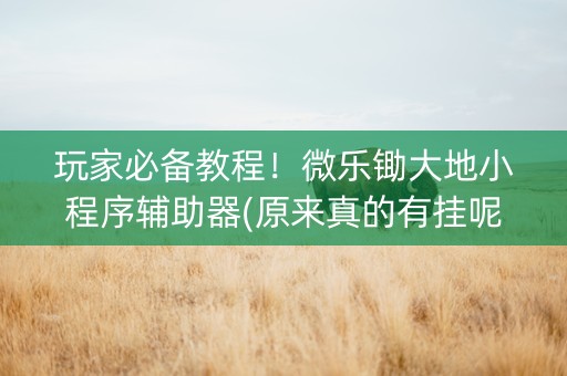 玩家必备教程！微乐锄大地小程序辅助器(原来真的有挂呢)