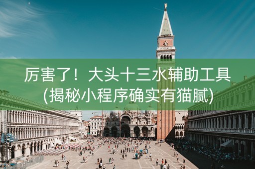 厉害了！大头十三水辅助工具(揭秘小程序确实有猫腻)