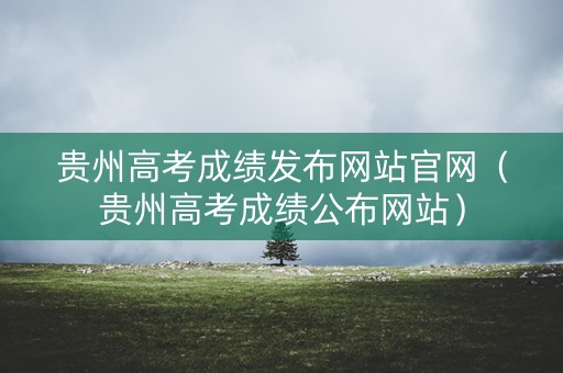 贵州高考成绩发布网站官网（贵州高考成绩公布网站）