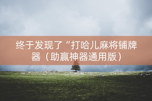 终于发现了“打哈儿麻将铺牌器（助赢神器通用版）