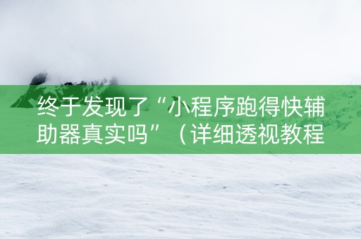 终于发现了“小程序跑得快辅助器真实吗”（详细透视教程）-哔哩哔哩